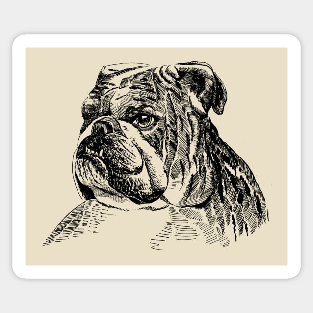 english bulldog Sticker by VicaVeresk